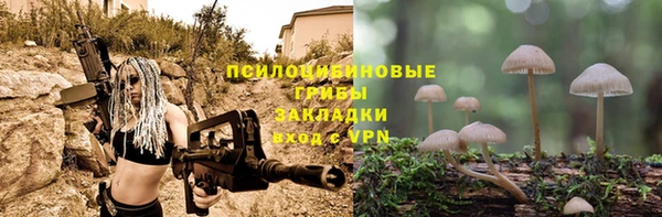 ALPHA PVP Богородицк